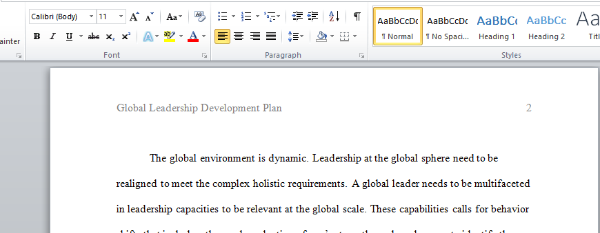 Global Leadership Development Plan
