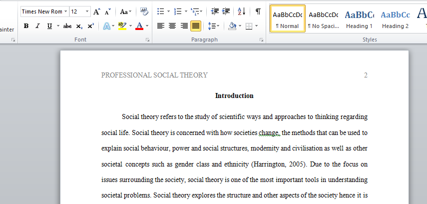 Professional Social Theory