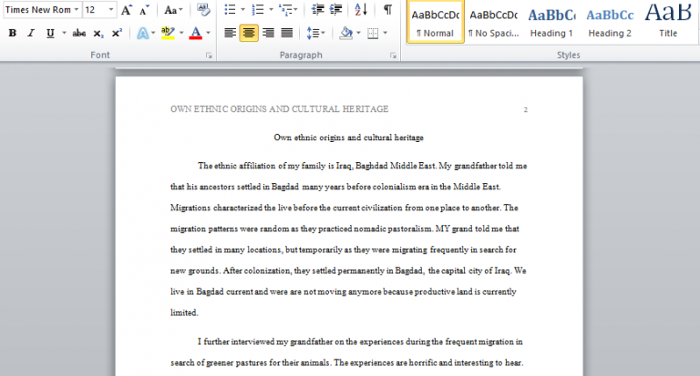 Ethnic identity essay image