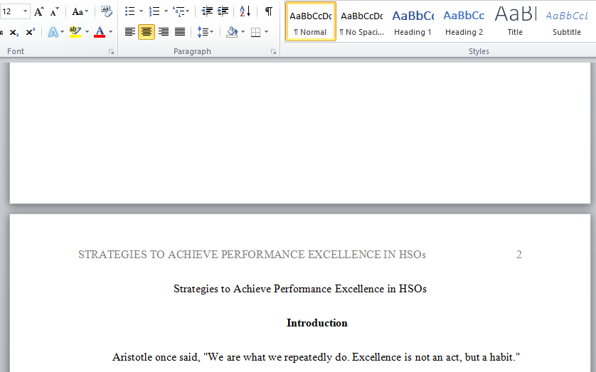 strategies to achieve performance excellence in HSO