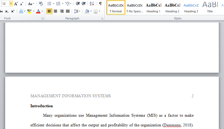 management information systems