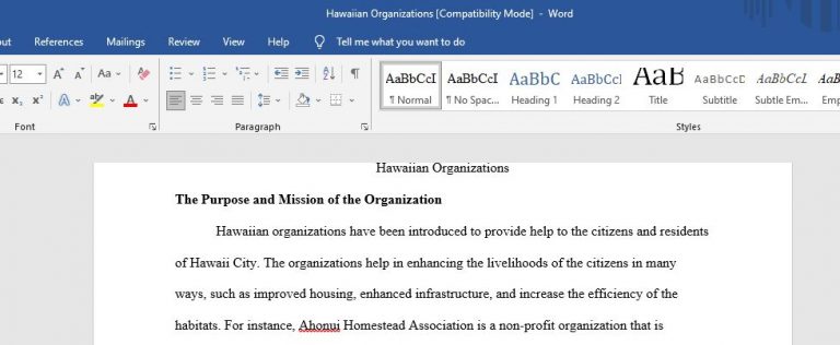 5th grade essay samples image