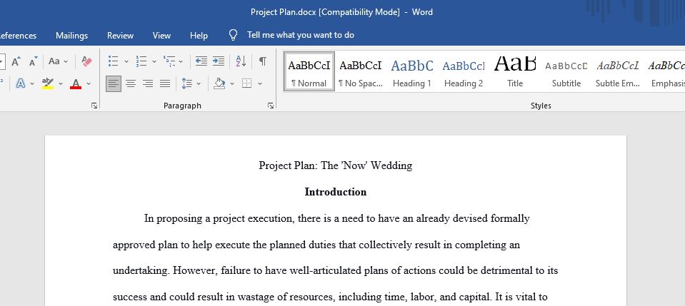 Project Plan Essay