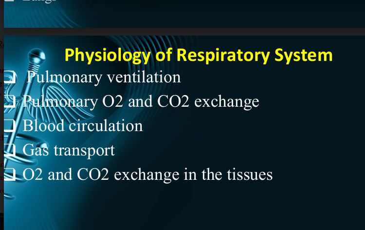 The effects of the inhalation of smoke and E-cigarette vapor on gas exchange in the lungs